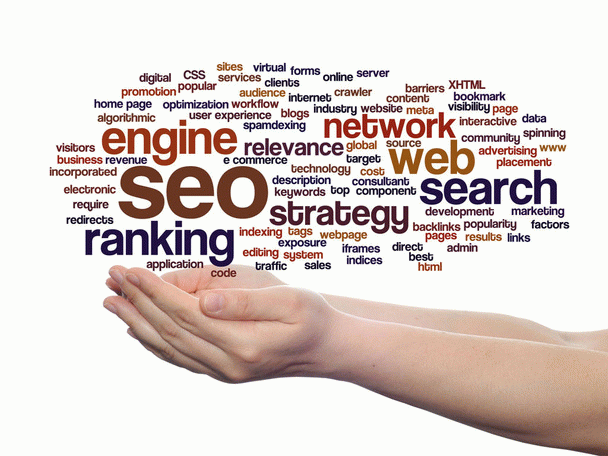 سئو سایت یا بهینه سازی وب سایت برای موتور های جستجو