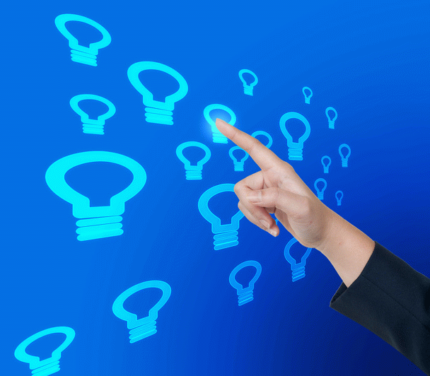 14 نکته درباره 7 تا از باهوش‌ترین پرندگان خانگی جهان: جذاب‌های باهوش